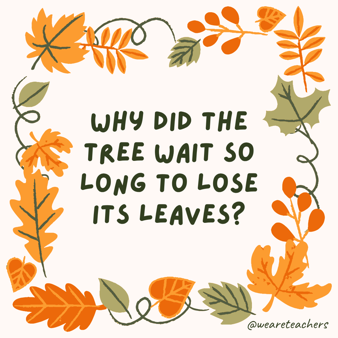 an image of a fall joke surrounded by fall leaves and vines
