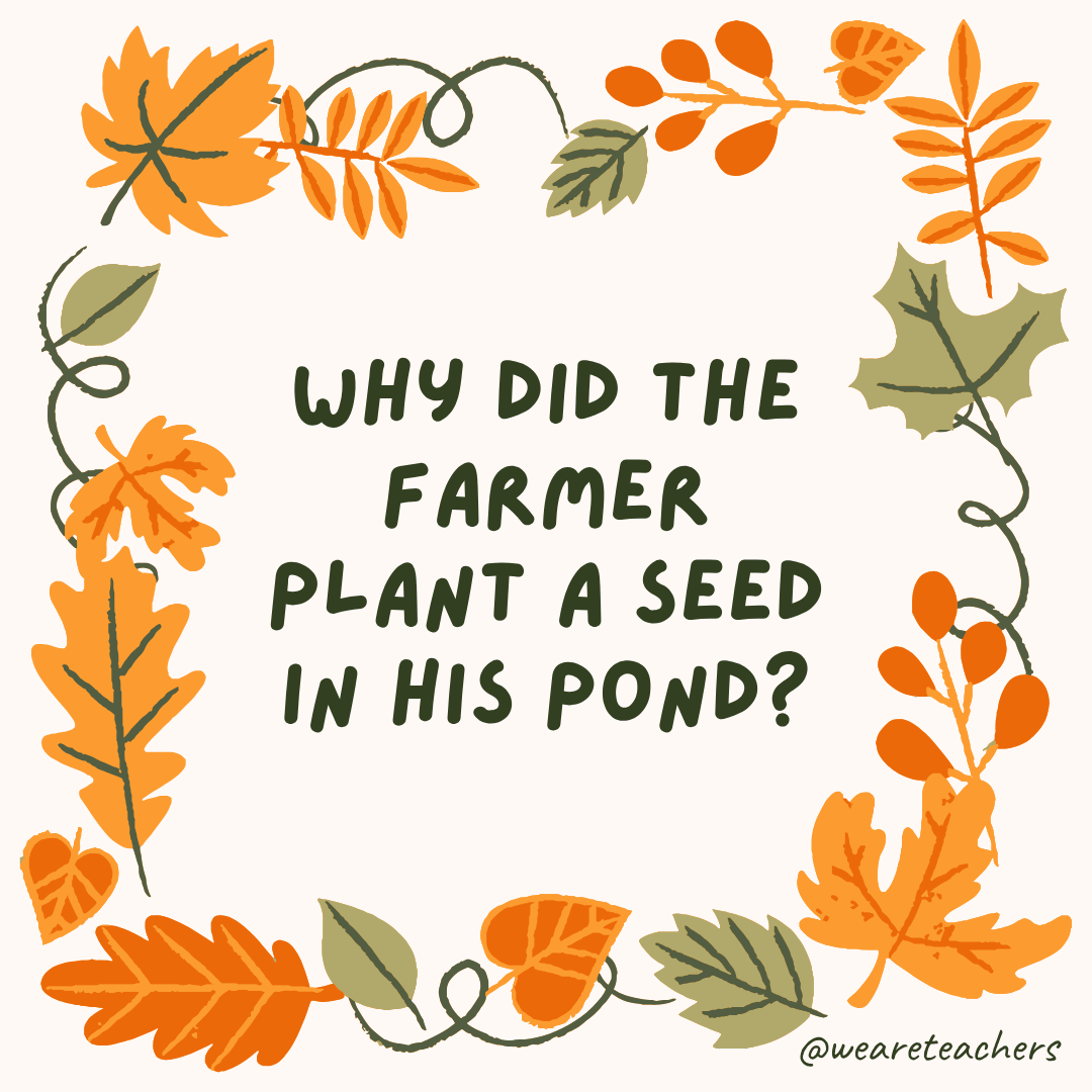 an image of a fall joke surrounded by fall leaves and vines