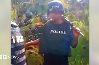 Remains of dozens of kidnapping victims found in Nigerian forests