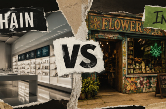 Chain vs. Indy: Which Dispensaries Do People Prefer?