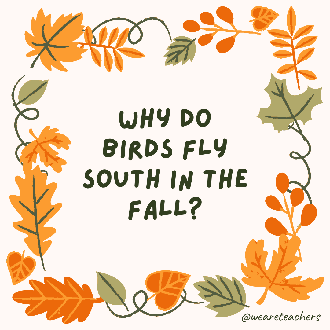 an image of a fall joke surrounded by fall leaves and vines