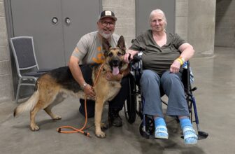 How This German Shepherd Saved Lives — Dogster