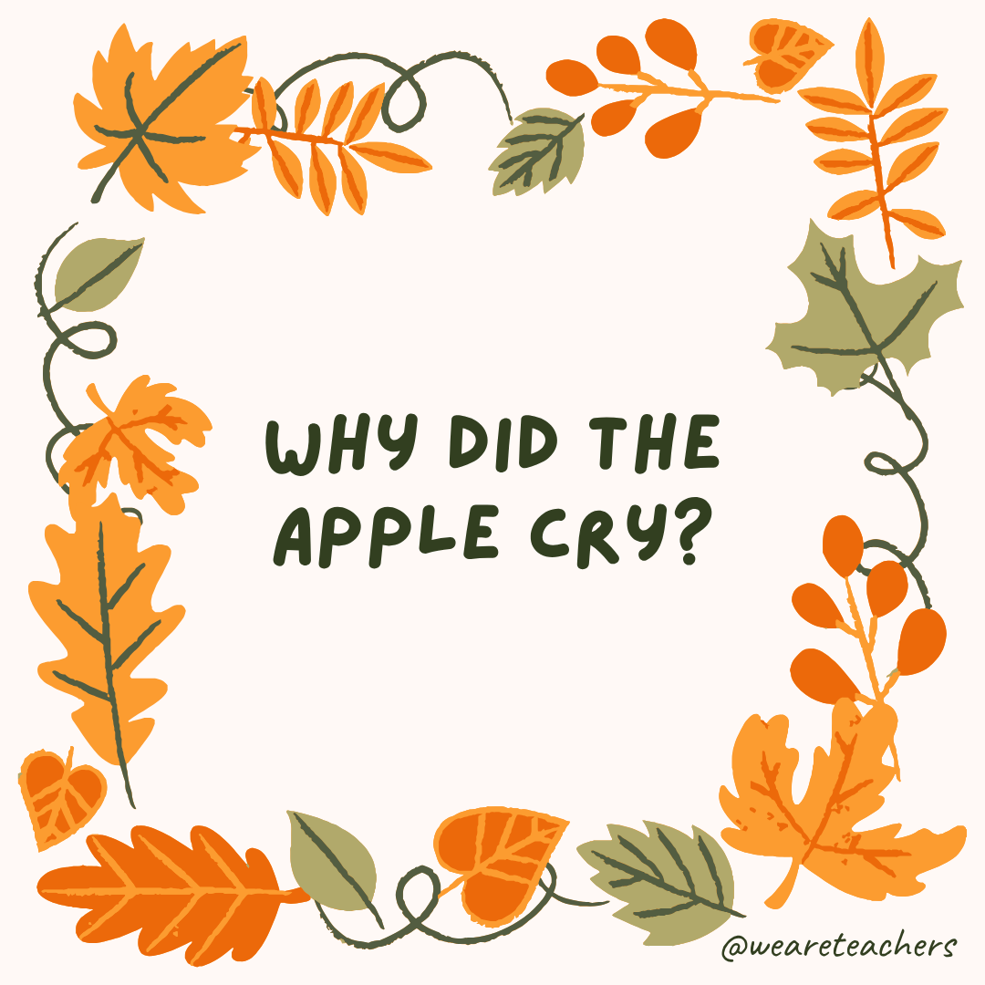 an image of a fall joke surrounded by fall leaves and vines