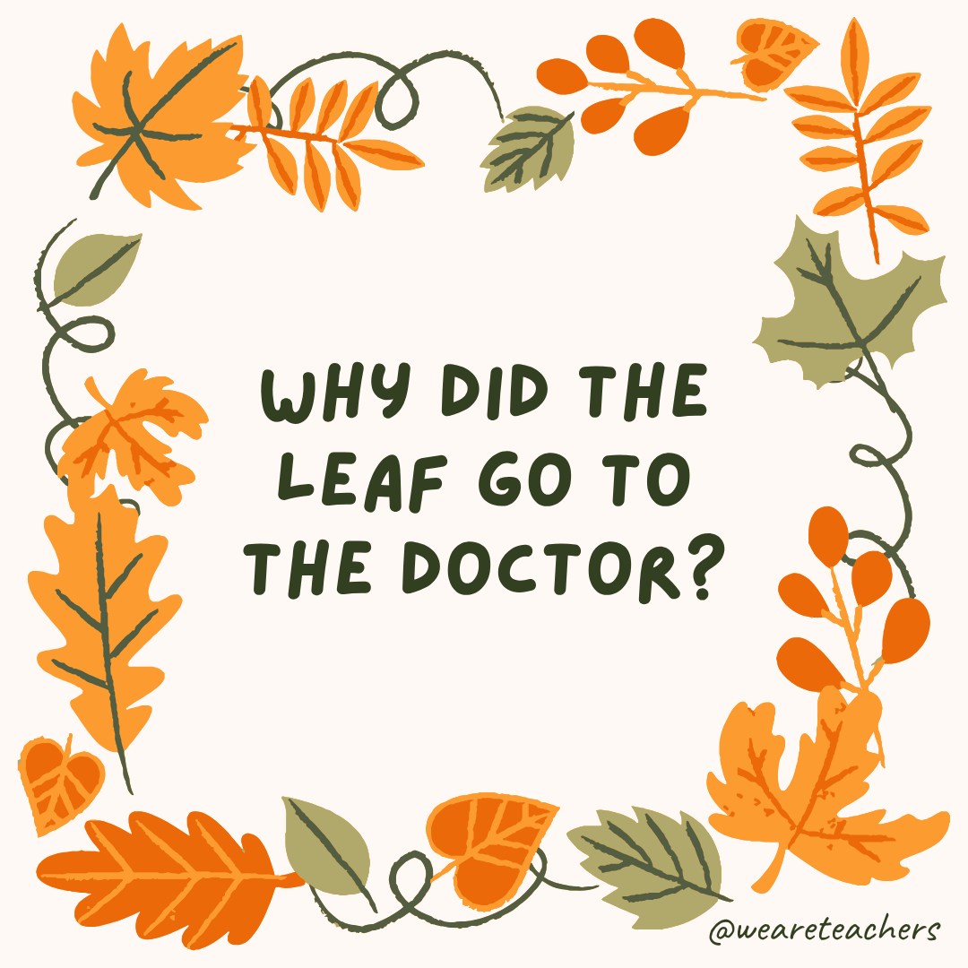 an image of a fall joke surrounded by fall leaves and vines