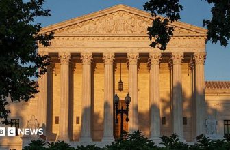 Supreme Court allows Trump to use SAVE database to check voter citizenship