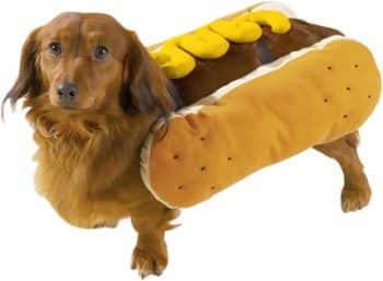 Casual Canine Hot Diggity Dog with Mustard Costume