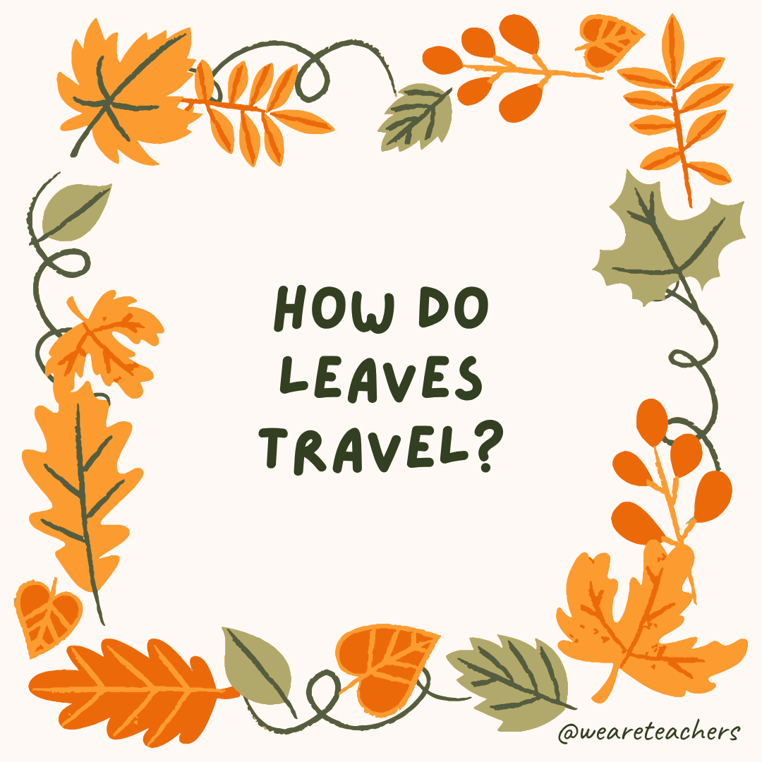 an image of a fall joke surrounded by fall leaves and vines
