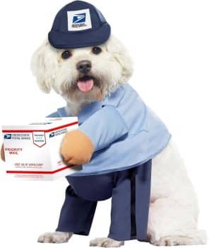USPS Mail Carrier Pup, Dog Costume Small