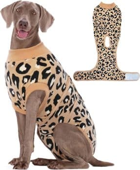 Kuoser Dog Recovery Suit After Surgery
