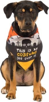 Rubie's This is My Costume Dog Bandana