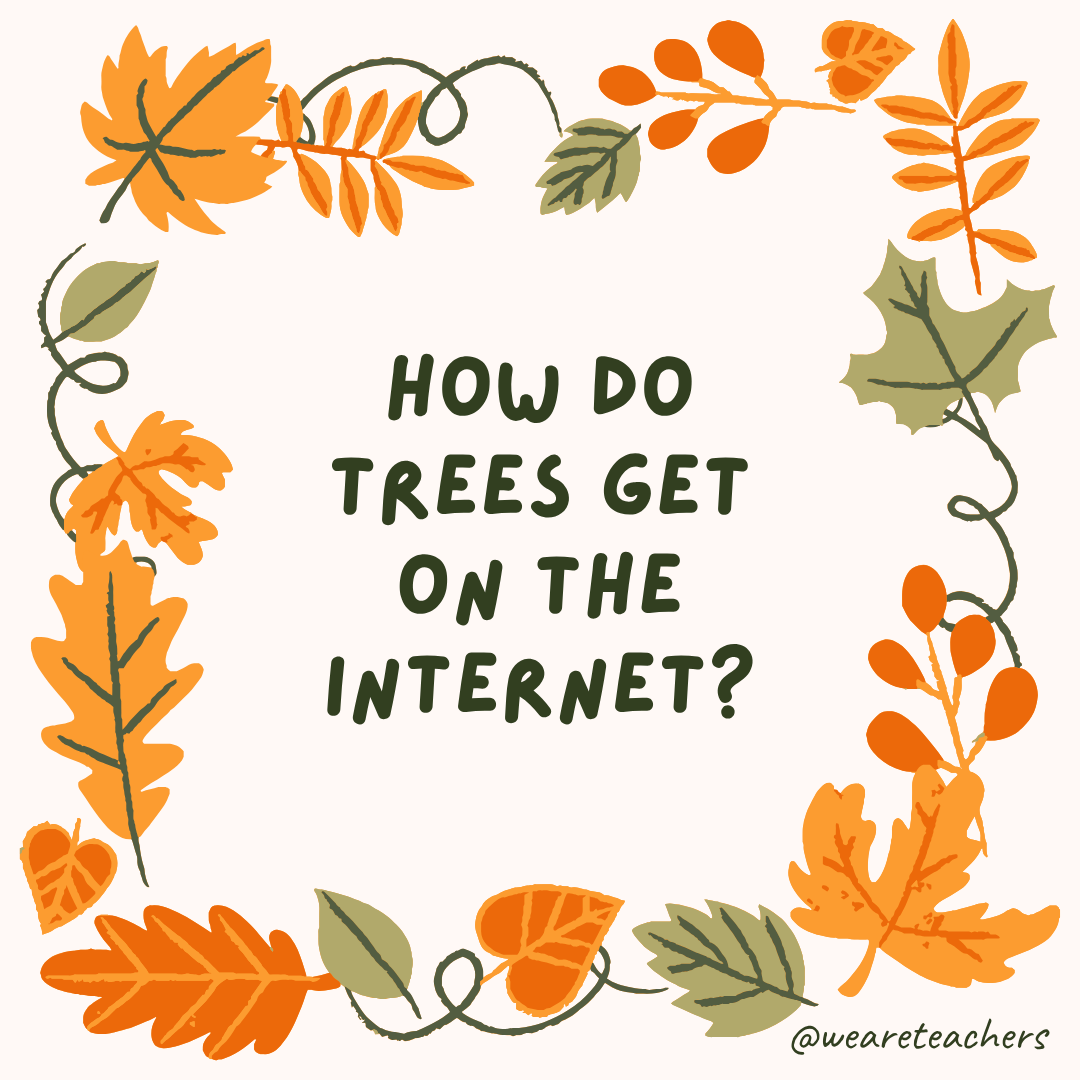 an image of a fall joke surrounded by fall leaves and vines