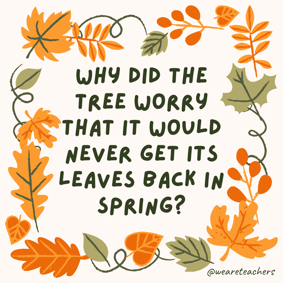 an image of a fall joke surrounded by fall leaves and vines