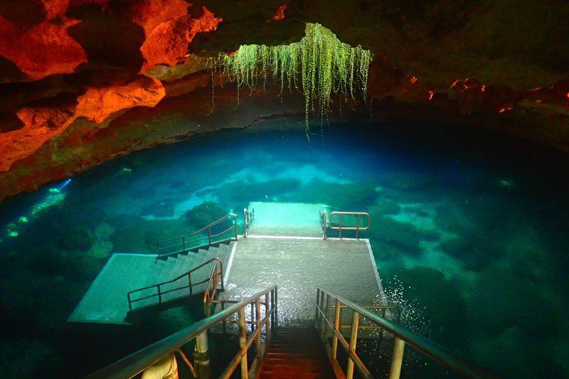 A Florida Spring Worth One Honest Look