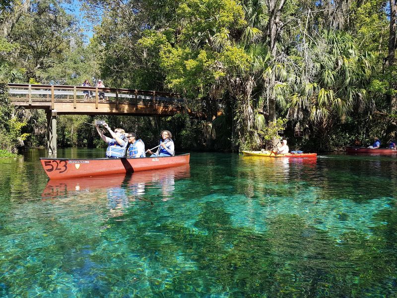 A Full Cast of Florida Wildlife