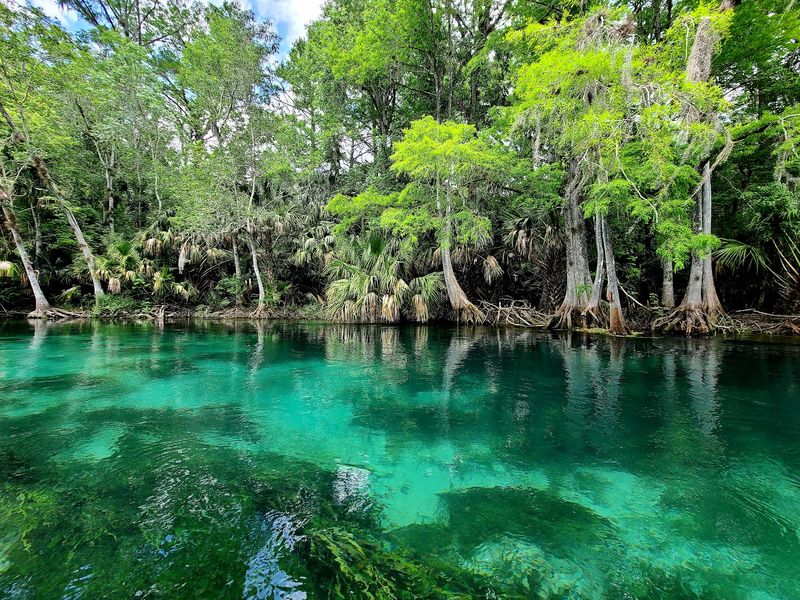 A Spring-Fed Park Where the River Runs Clear