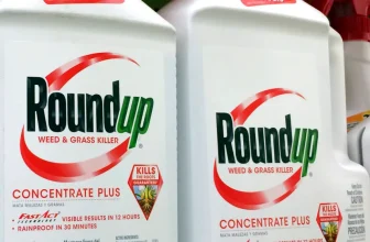 Why Kagan and Kavanaugh agreed to end the Roundup bonanza