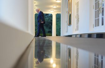 GOP strategist says Trump should hide until midterms are over