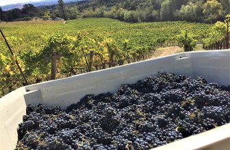 A year of low fruitfulness