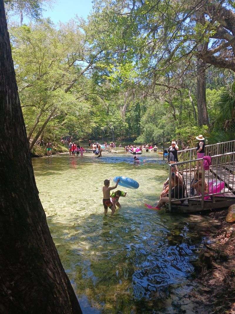 An Easygoing Spot for Families and Dogs An Easygoing Spot for Families and Dogs