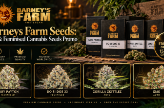 Auto & Feminised Cannabis Seeds Promo