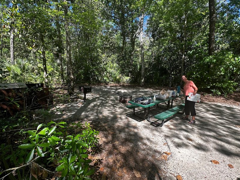 Camping Under the Live Oaks