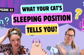 Chatting About Sleeping Positions, Loafing & Cats in Tubes