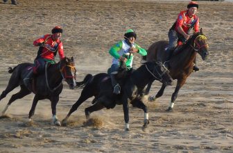 Arab Heritage in The World Nomad Games