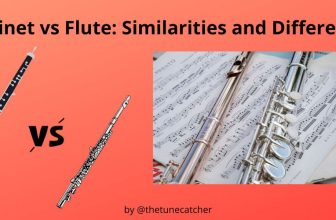 Clarinet vs Flute: What are the Similarities and Differences?