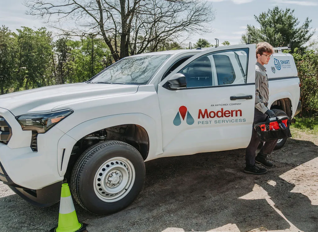 modern pest services