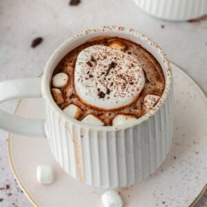 dair-free hot chocolate in a white mug on a white saucer with marshmallows and cocoa powder