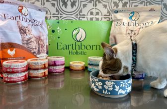 Our Expert’s Opinion — Catster