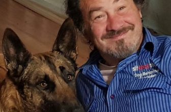 Dog Training Adelaide — Why Some Dogs Improve… And Others Don’t – SitDropStay