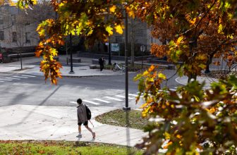 ‘To Catch a Predator’ at Cornell