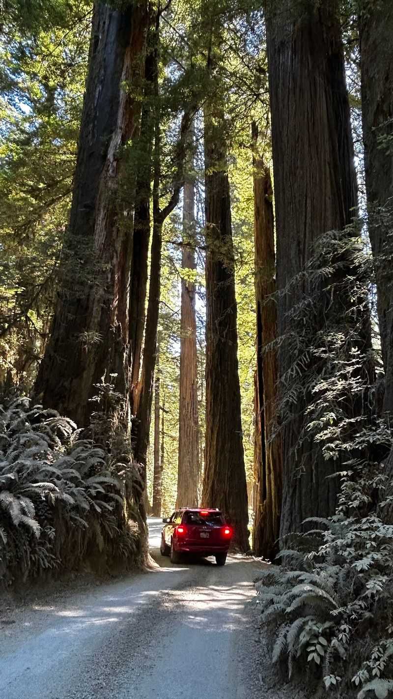 Giants on Both Sides Giants on Both Sides