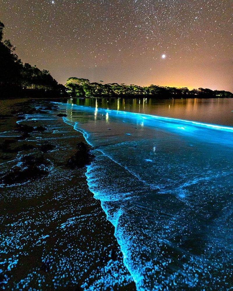 Glowing Jellies You Can Hold