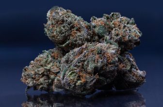 #8 Best High THCa Flower 2026