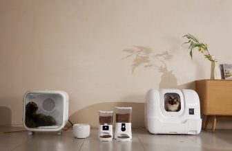 How Smart Litter Solutions Can Create a Healthier Life for Cats — Catster