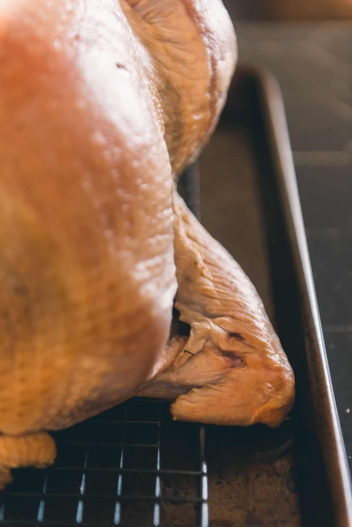 Side shot to show the tips of the turkey wings tucked under the body of the turkey.