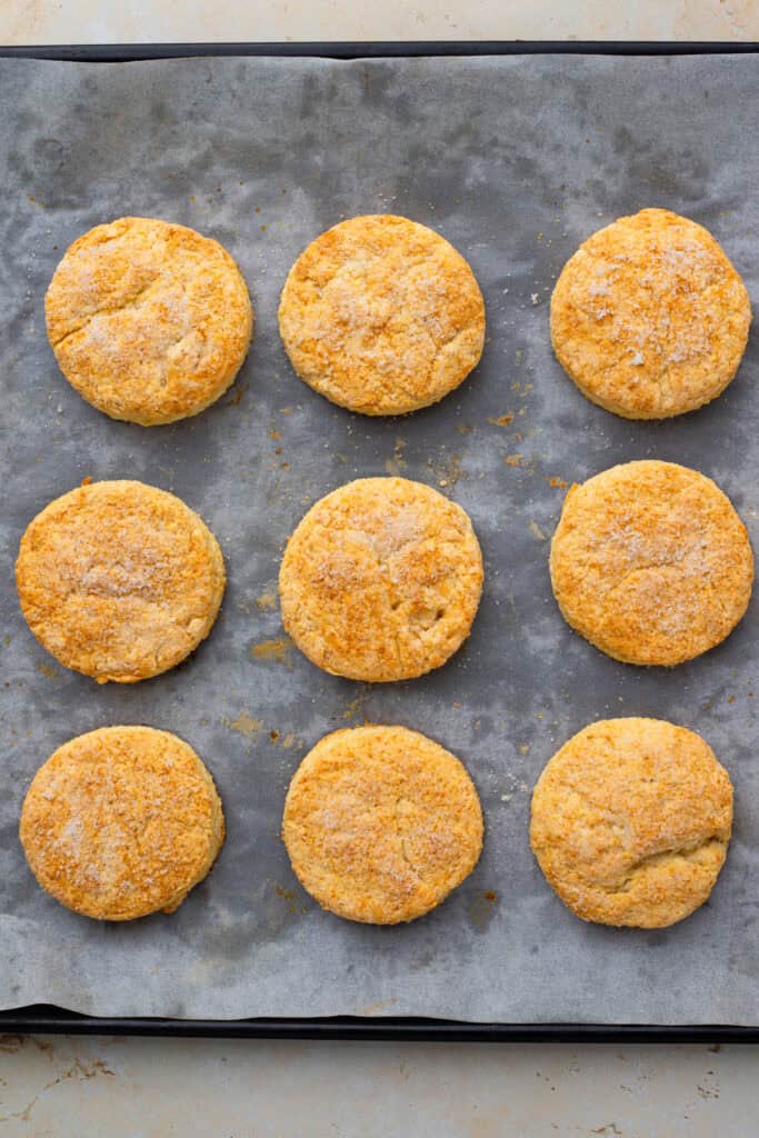 homemade buttermilk biscuits on a baking sheet golden and baked