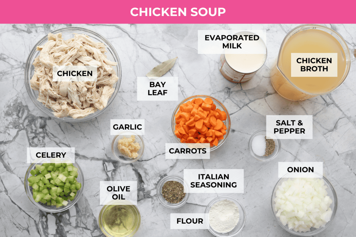 Overhead shot of labeled chicken soup ingredients. 