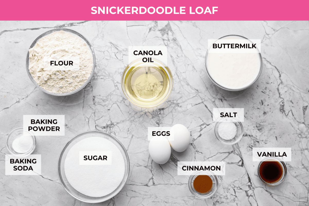 Overhead shot of labeled snickerdoodle loaf ingredients. 