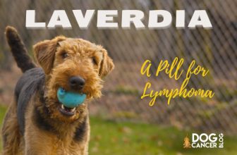 Treat Lymphoma With a Pill