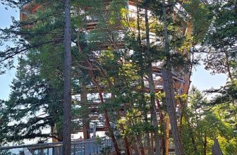 Sightseeing the Malahat SkyWalk on Vancouver Island