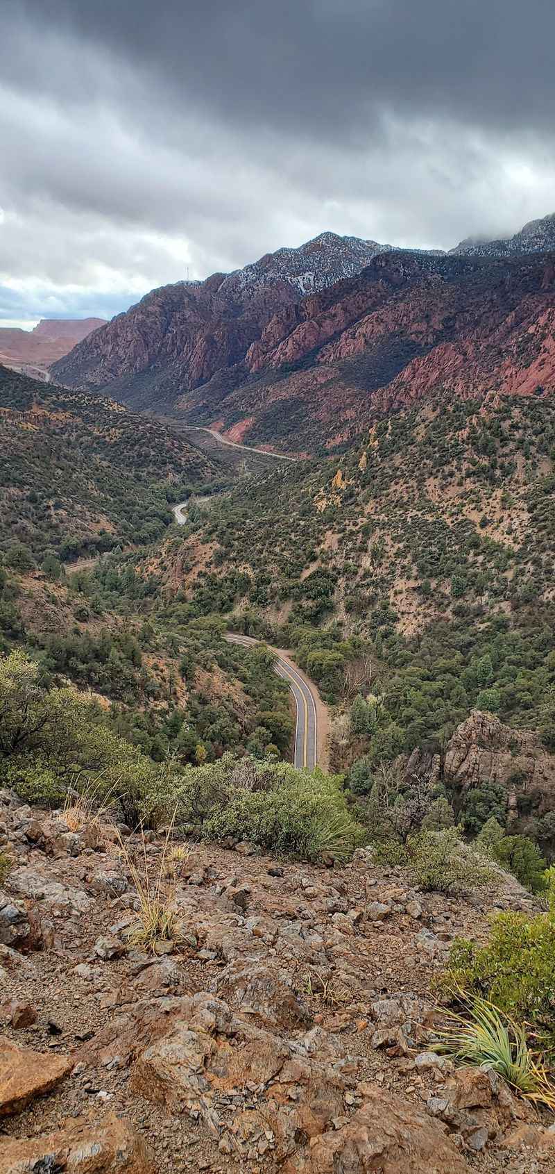 Mountains, Trees, And Copper-Colored Bark