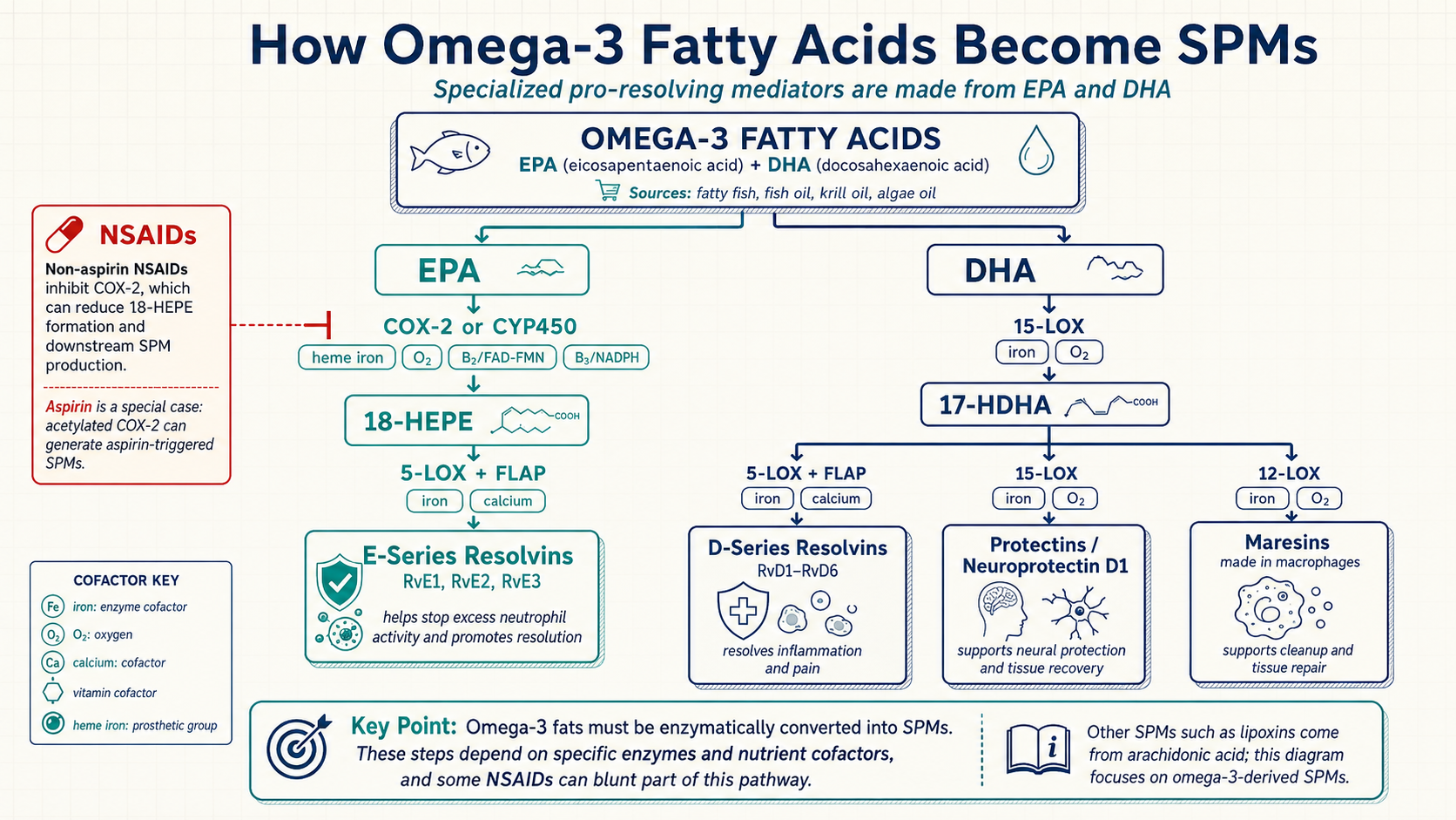 what's the difference between SPMs and Omega 3 fats?