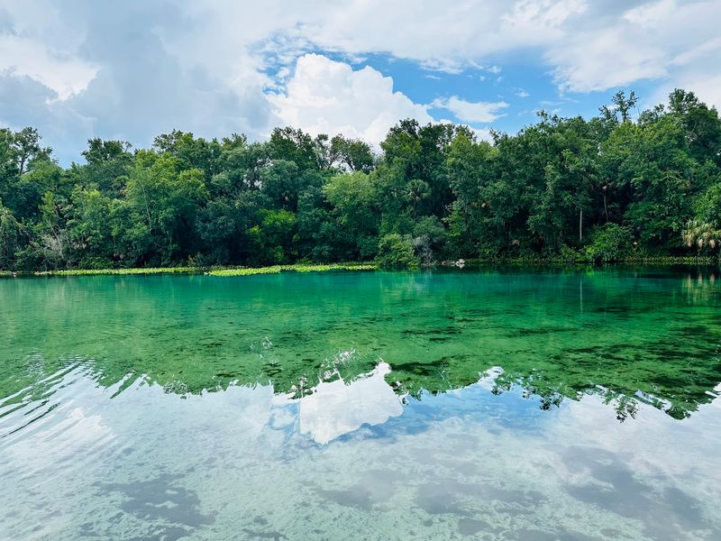 Otters, Turtles, and the Occasional Gator