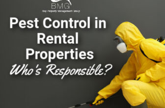Pest Control in Rental Properties: Who’s Responsible?