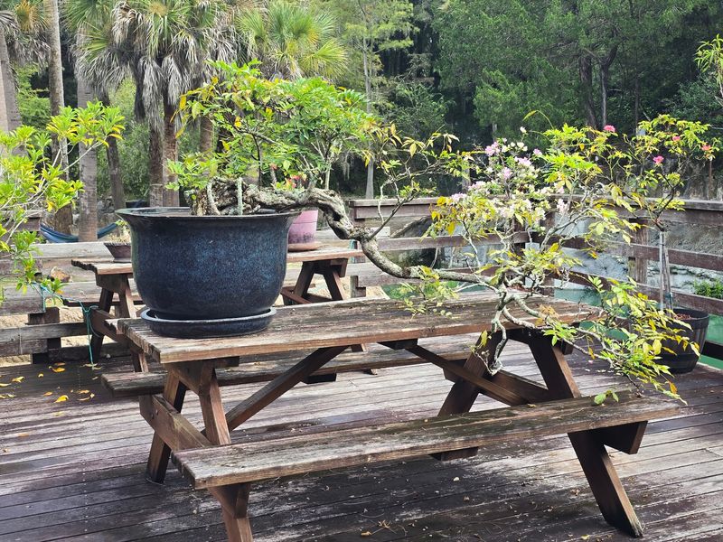 Picnic Tables, Campsites, and a Garden Next Door