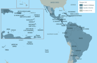 The worst epidemic in decades · Break Dengue