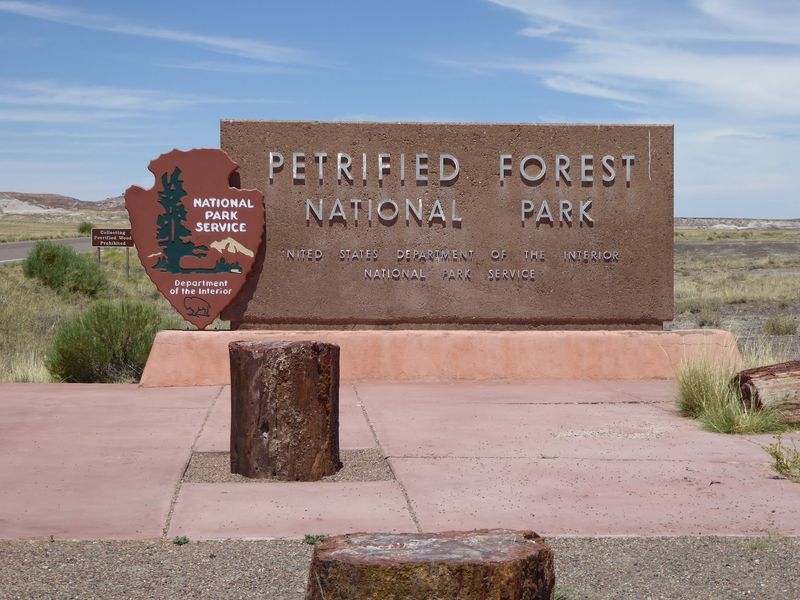 Planning Your Visit Without The Guesswork